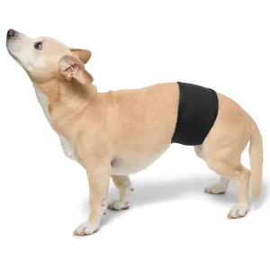 Dog Belly Band - Black