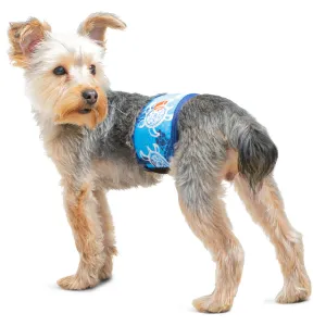 Dog Belly Band - Flaming Blue Tuga